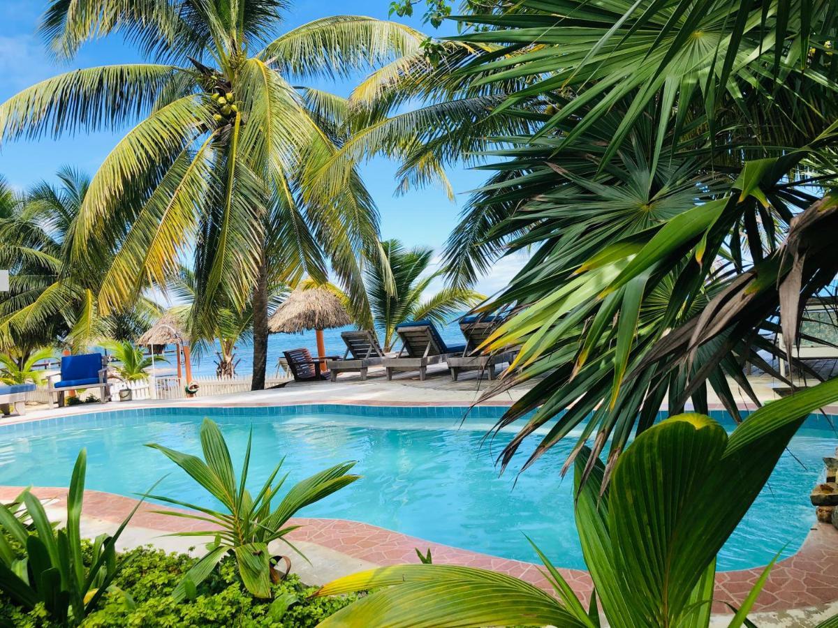 מאיה ביץ' Coral Cove Inn מראה חיצוני תמונה